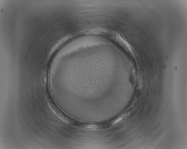 X0000083630059200703051645
