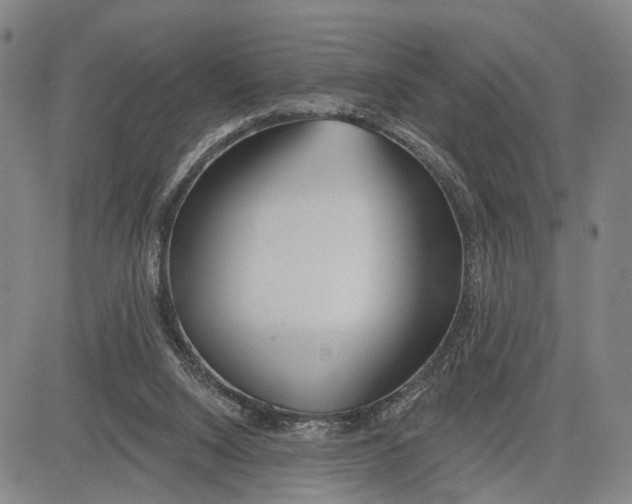 X0000083630064200703051646