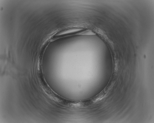 X0000083630068200703051646
