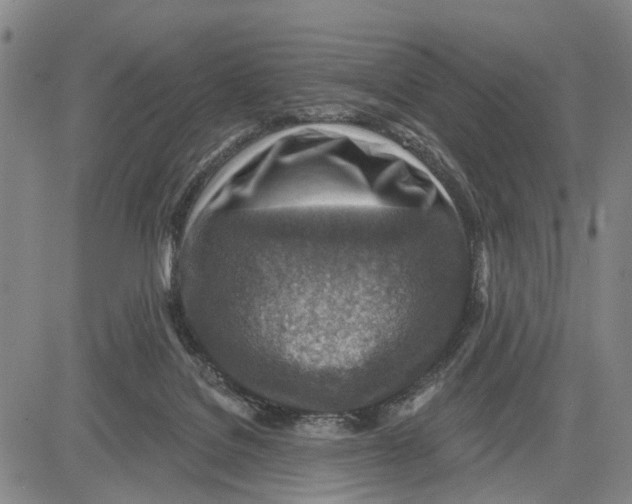 X0000083630076200703051646