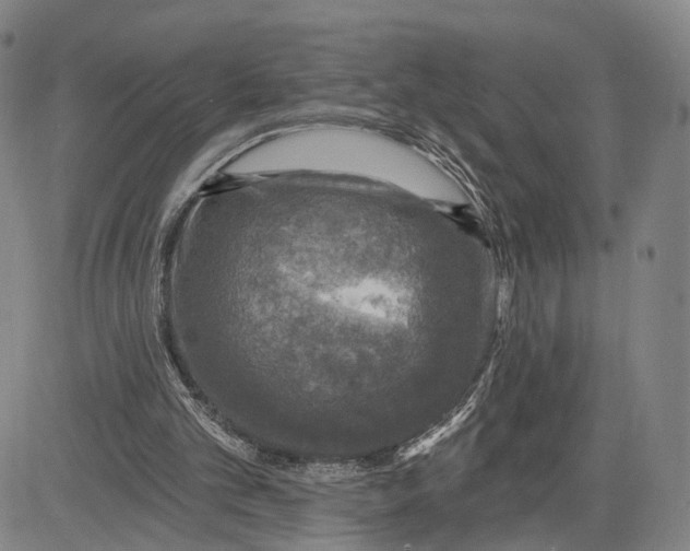 X0000083630101200703051645