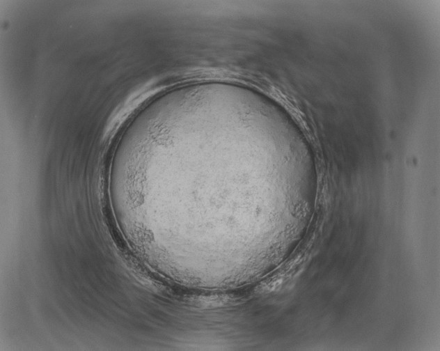 X0000083630103200703051645