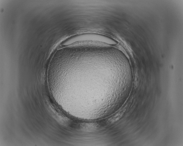 X0000083630107200703051645