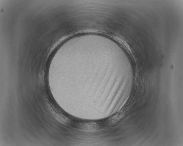 X0000083630108200703051645