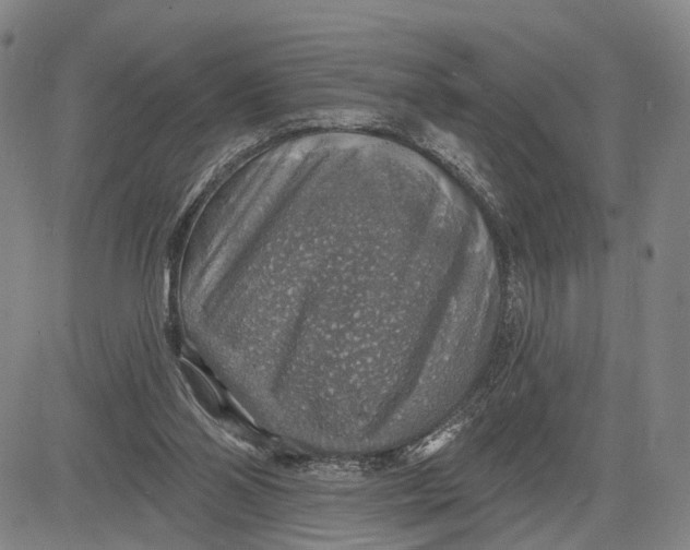 X0000083630110200703051645