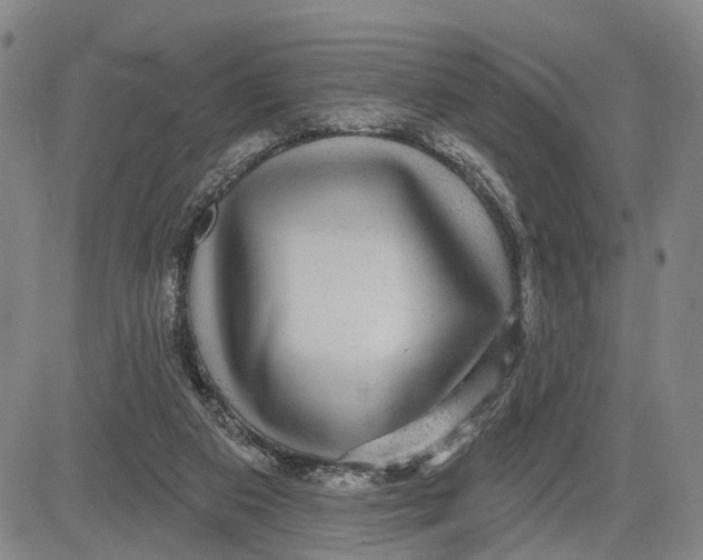 X0000083630113200703051645