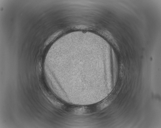 X0000083630116200703051645