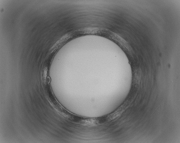 X0000083630118200703051645