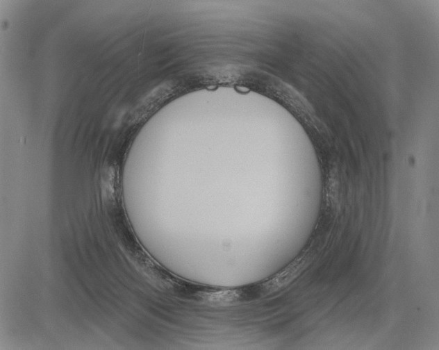 X0000083630122200703051645