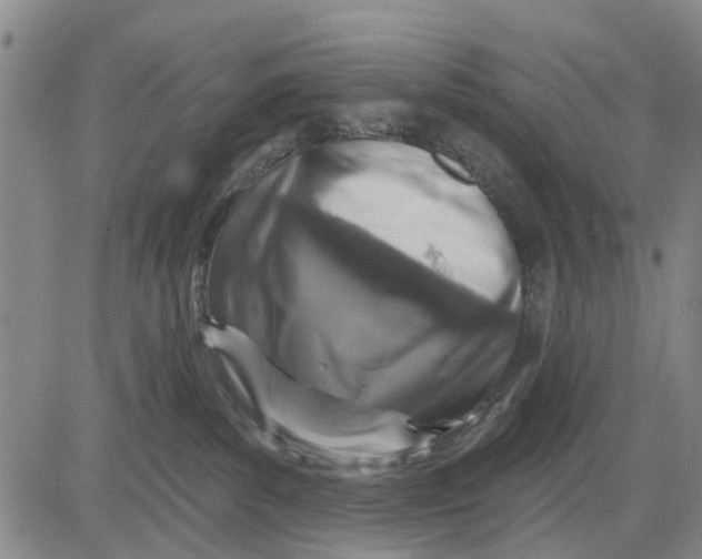 X0000083630139200703051645