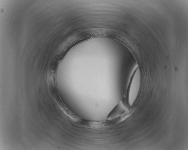 X0000083630141200703051645