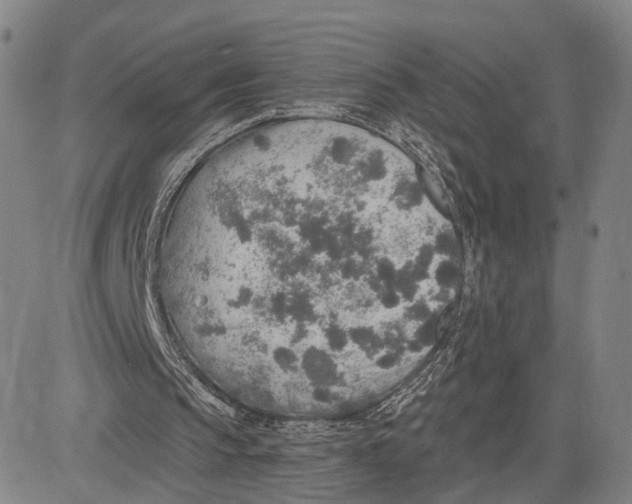 X0000083630145200703051644