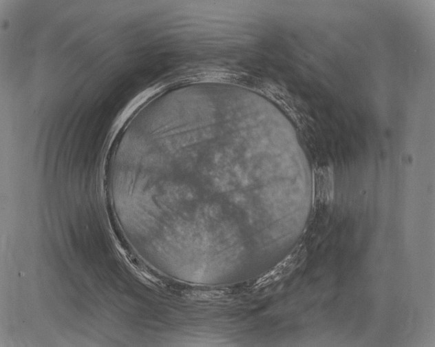X0000083630147200703051644