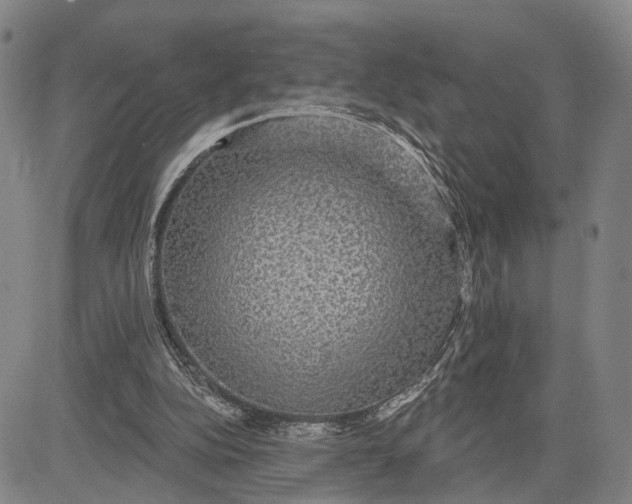 X0000083630152200703051644