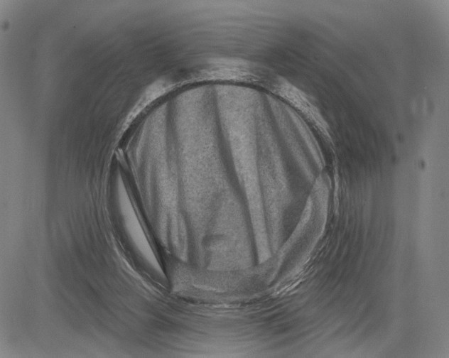 X0000083630156200703051644