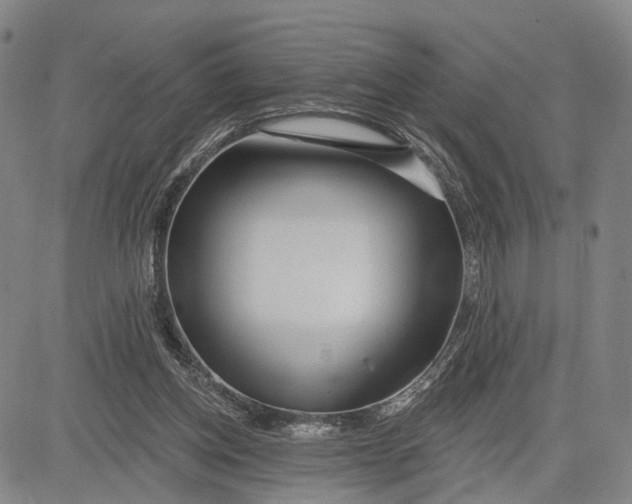 X0000083630158200703051644