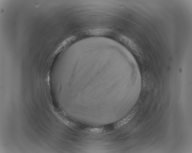 X0000083630163200703051644
