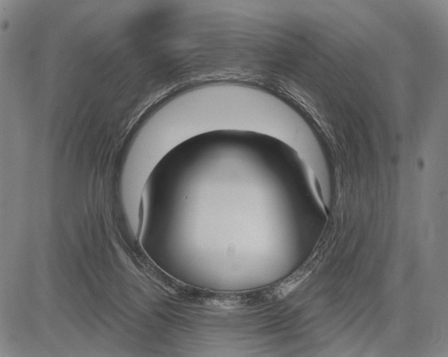 X0000083630164200703051644