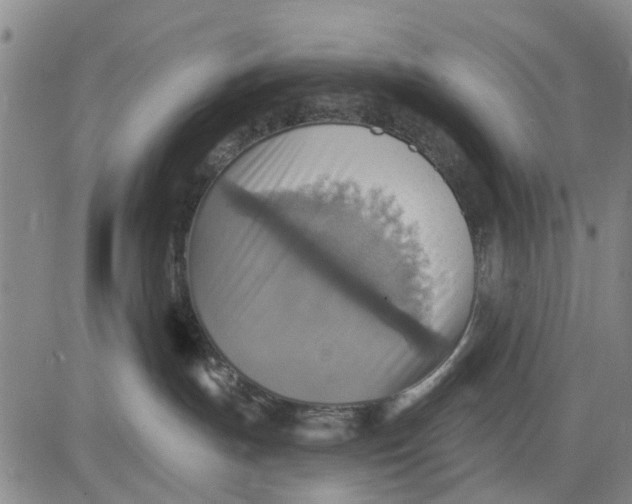 X0000083630191200703051644