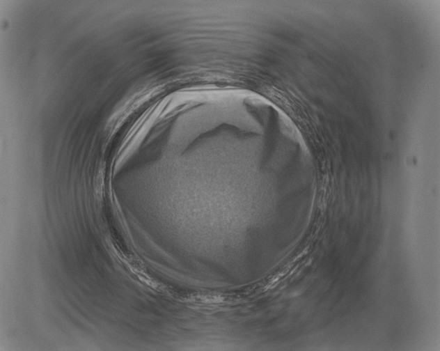 X0000083630194200703051644