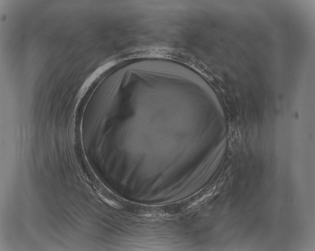 X0000083630200200703051644