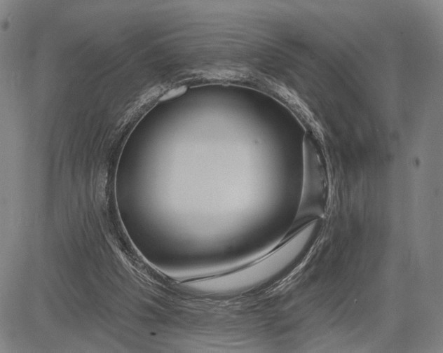 X0000083630201200703051644