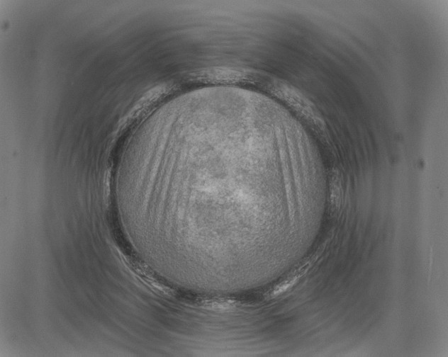 X0000083630206200703051643