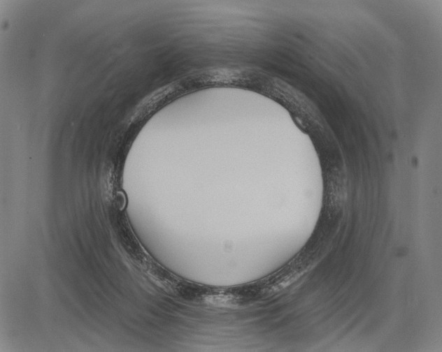 X0000083630216200703051643