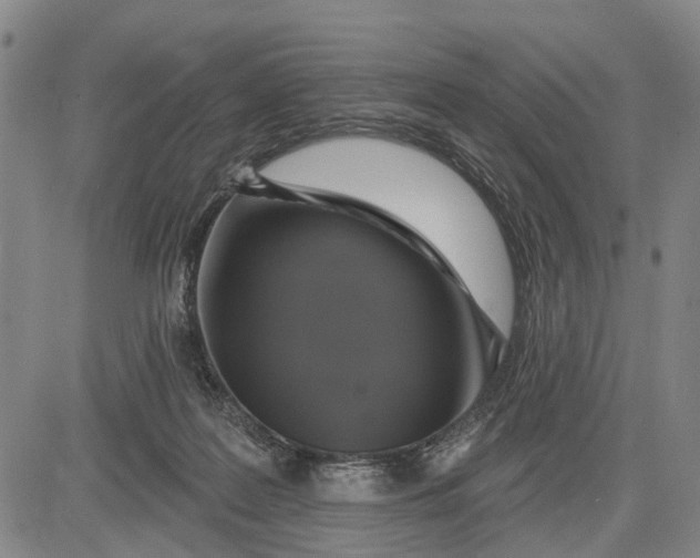 X0000083630219200703051643
