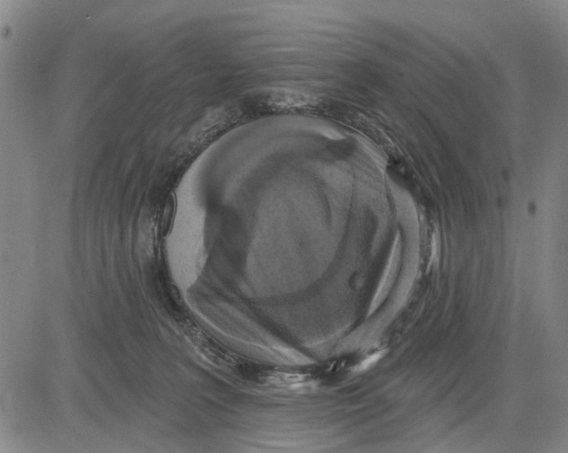 X0000083630227200703051643