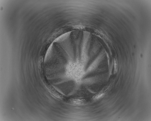 X0000083630229200703051643
