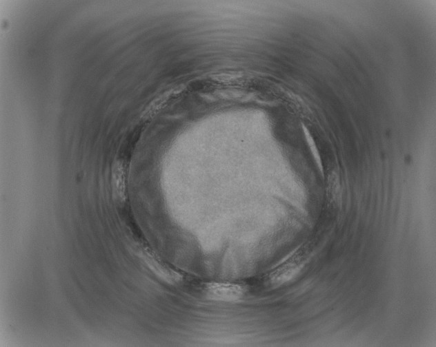 X0000083630234200703051643