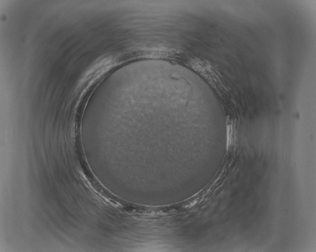 X0000083630243200703051642
