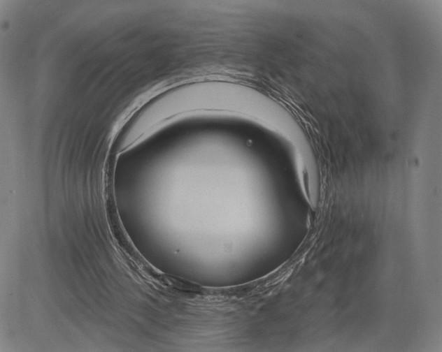 X0000083630244200703051642