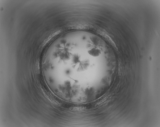 X0000083630251200703051642