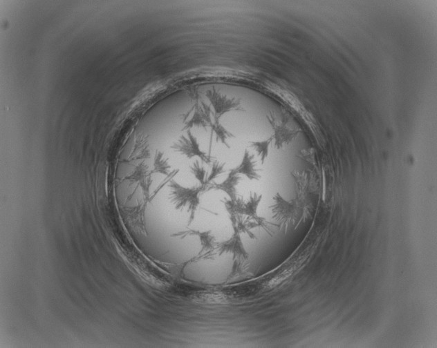 X0000083630253200703051642