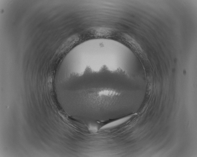 X0000083630269200703051643