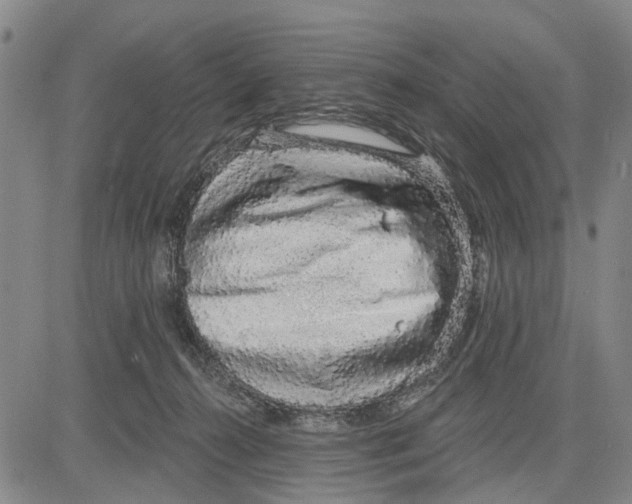 X0000083630272200703051643
