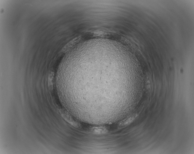 X0000083630275200703051643