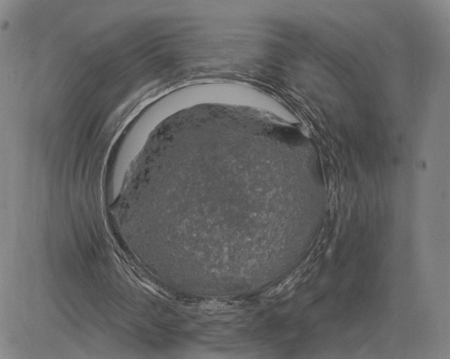 X0000083630290200703051642