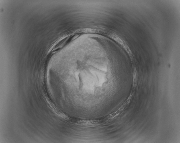 X0000083630297200703051642