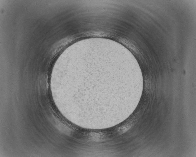 X0000083630302200703051642