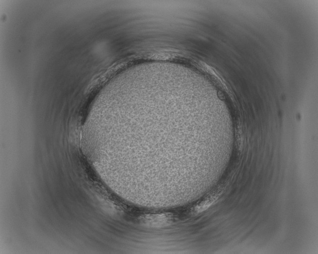 X0000083630307200703051642