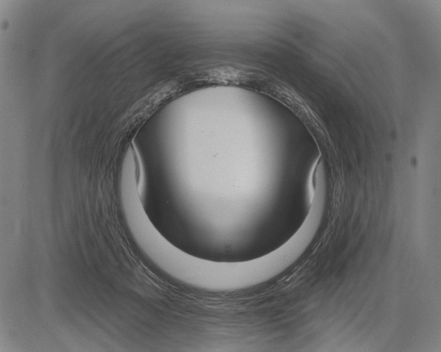 X0000083630313200703051642