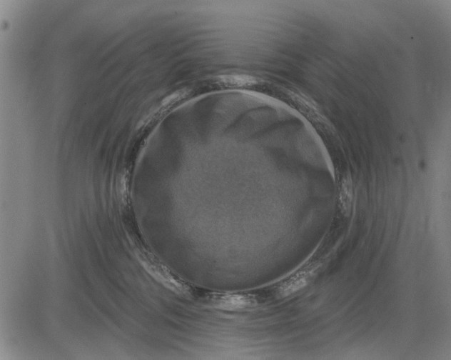 X0000083630330200703051641