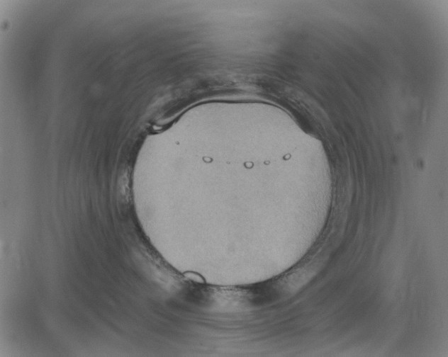 X0000083630336200703051641