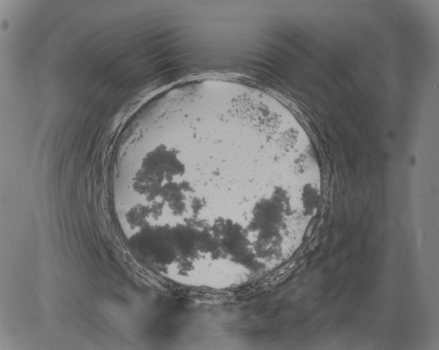 X0000083630337200703051640