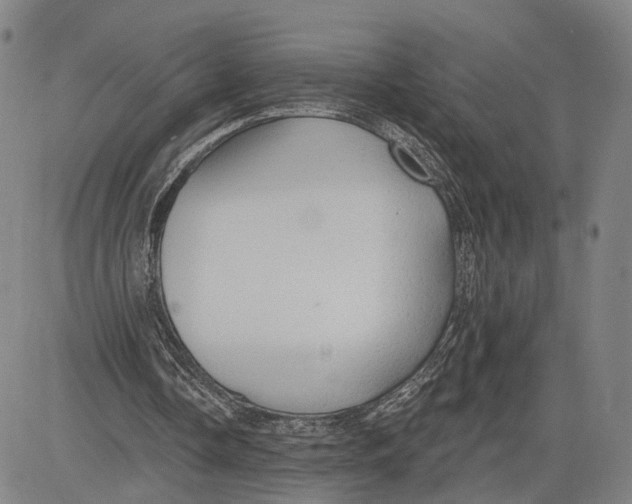 X0000083630338200703051640