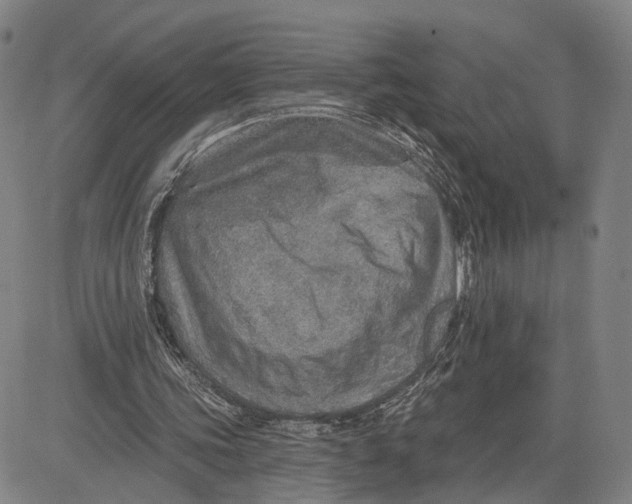 X0000083630339200703051640
