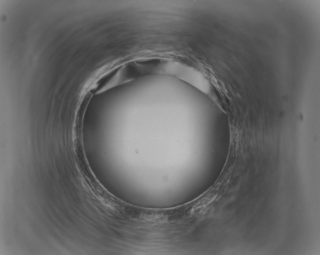 X0000083630340200703051641